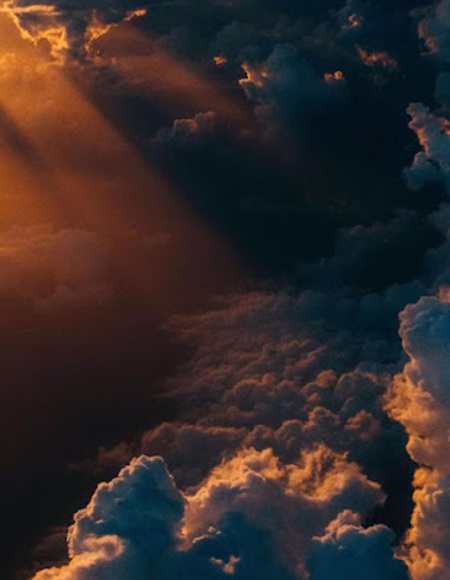 Meet your Posher, Riya - Picture 1 of 1